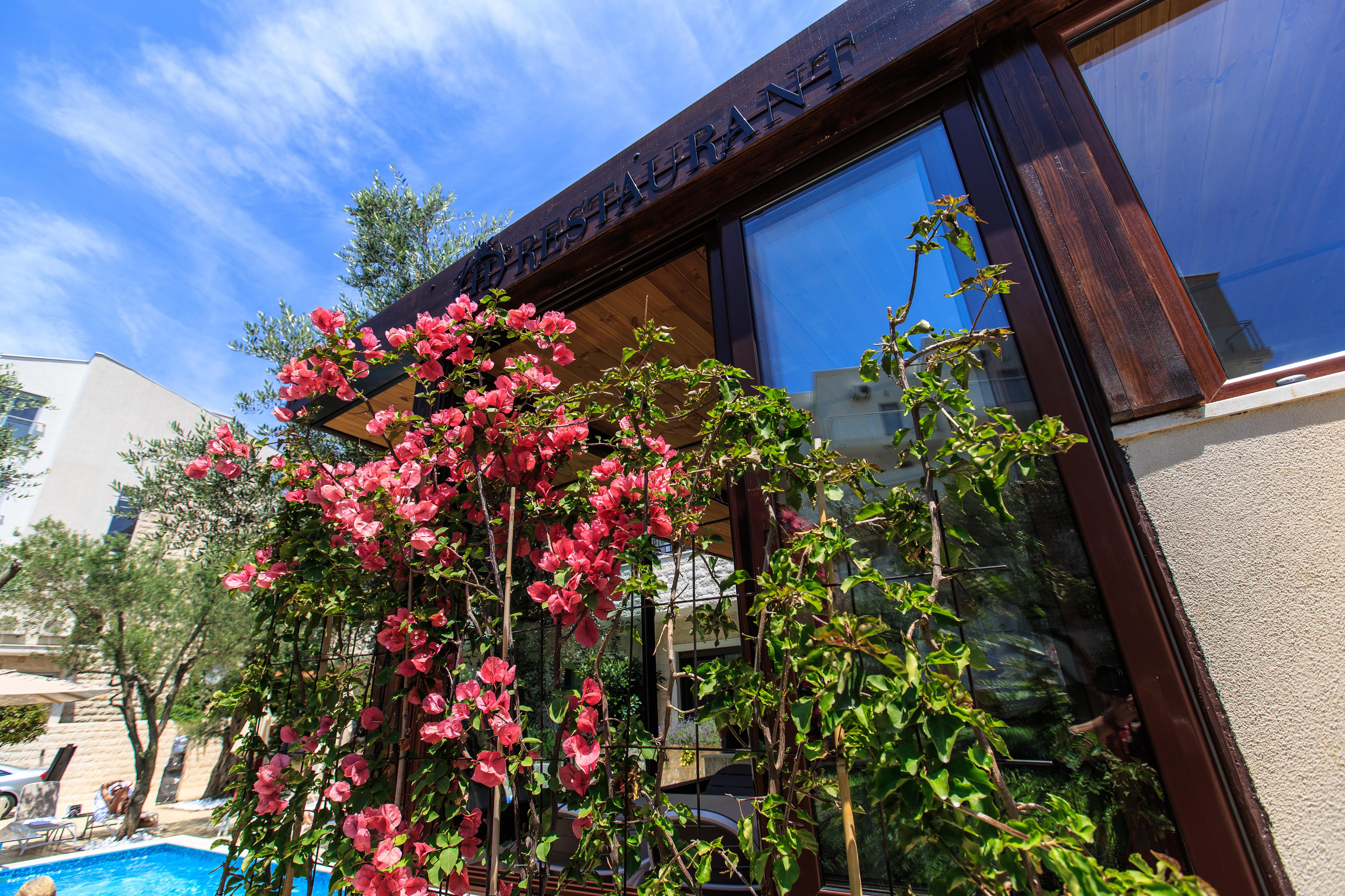 Hotel Harmony By Aycon Petrovac na moru Exterior foto